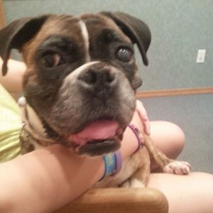 Meet your Posher, Karin